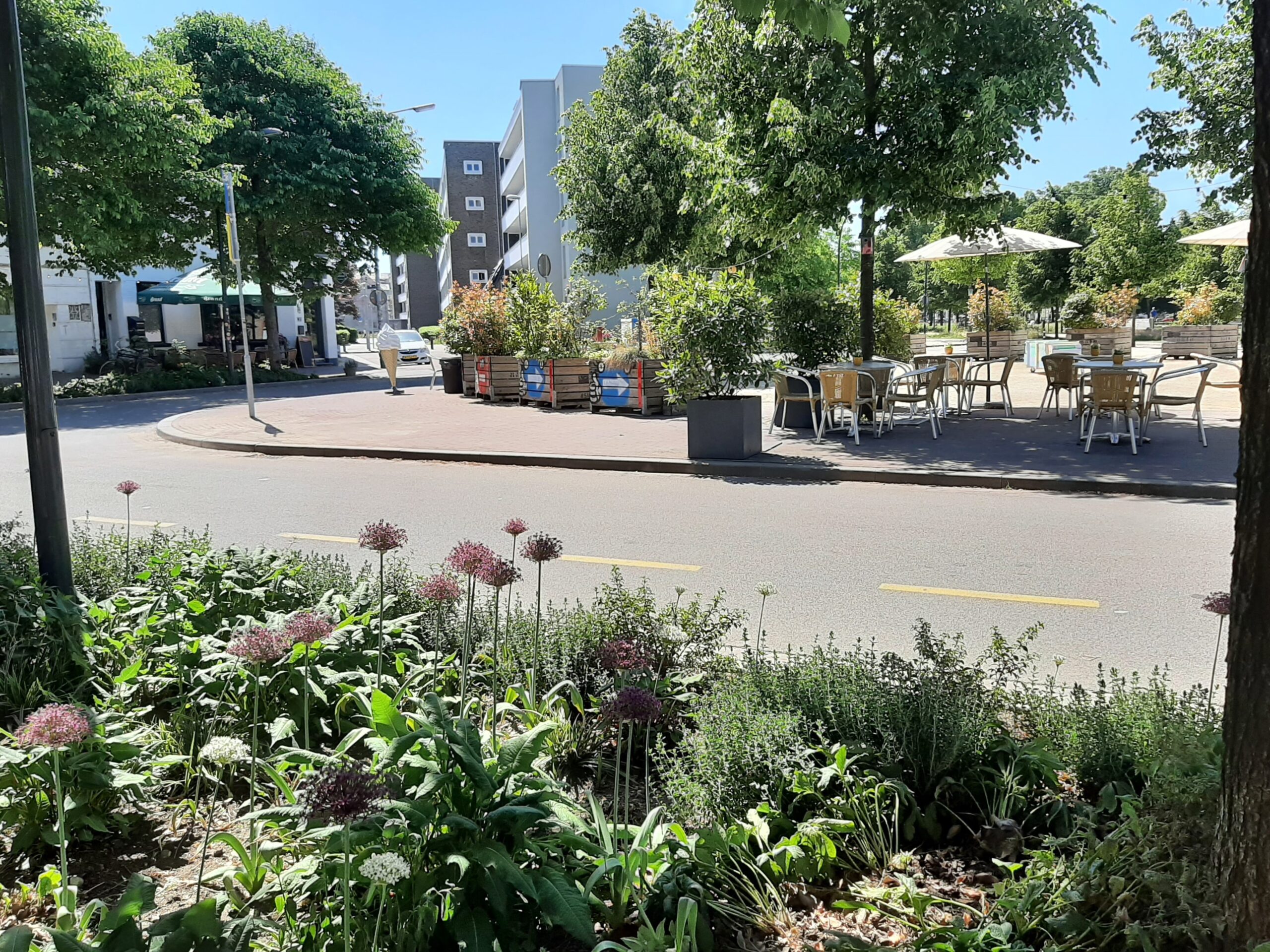 Wittevrouwenplein WK Gravel