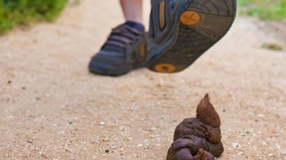 Hieperdepiep en hoeperdePOEP…