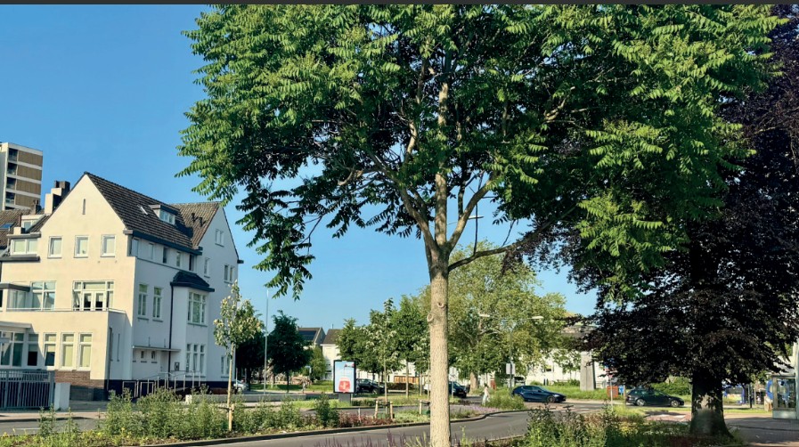 Feestelijke opening vergroende Scharnerweg